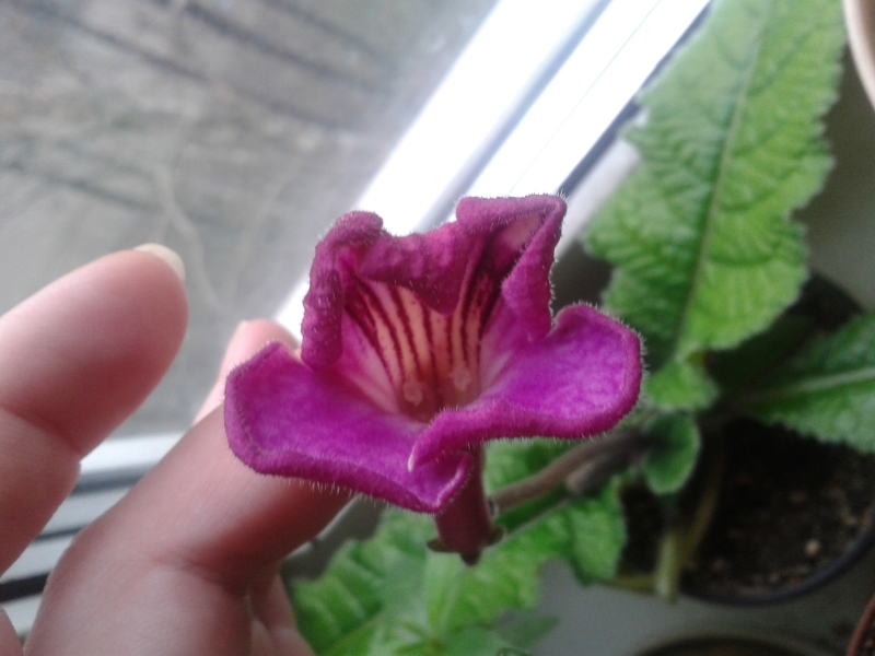 20160407_073633.jpg