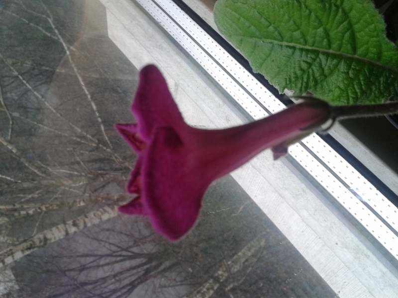 20160407_113643.jpg
