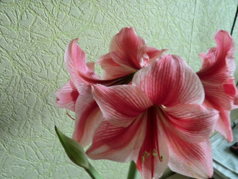 21 апреля 14г.JPG