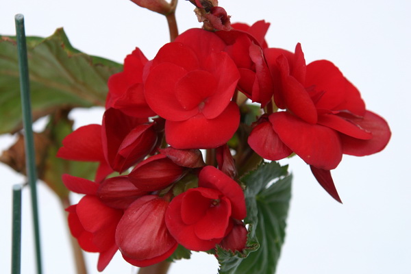 27 июня 010_измен.размер.jpg