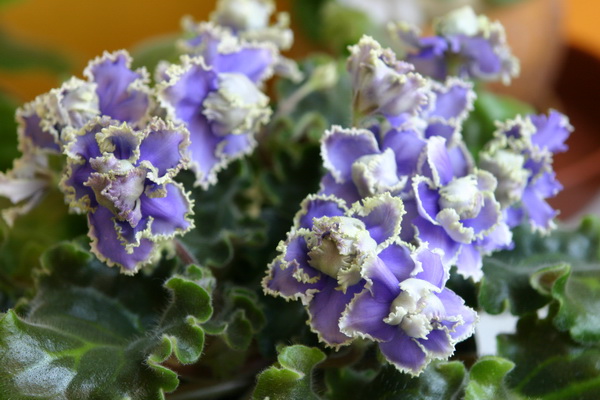 27 июня 040_измен.размер.jpg