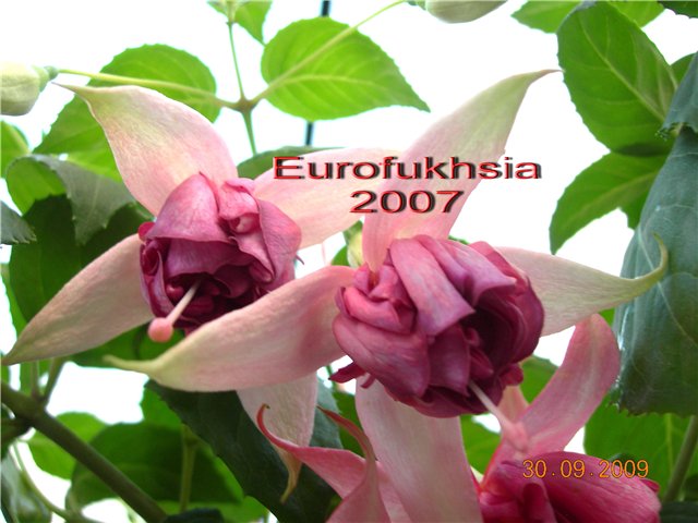 904edbb57200.jpg