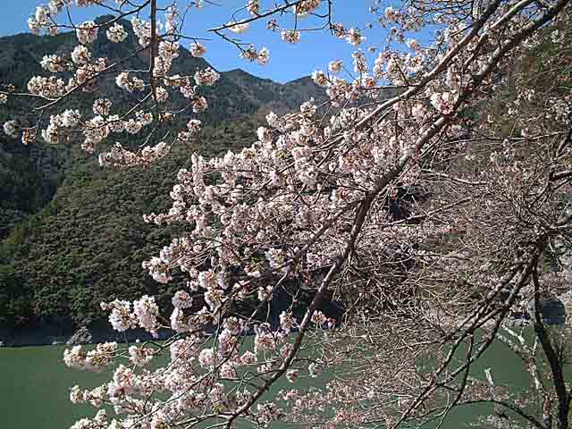 94.jpg