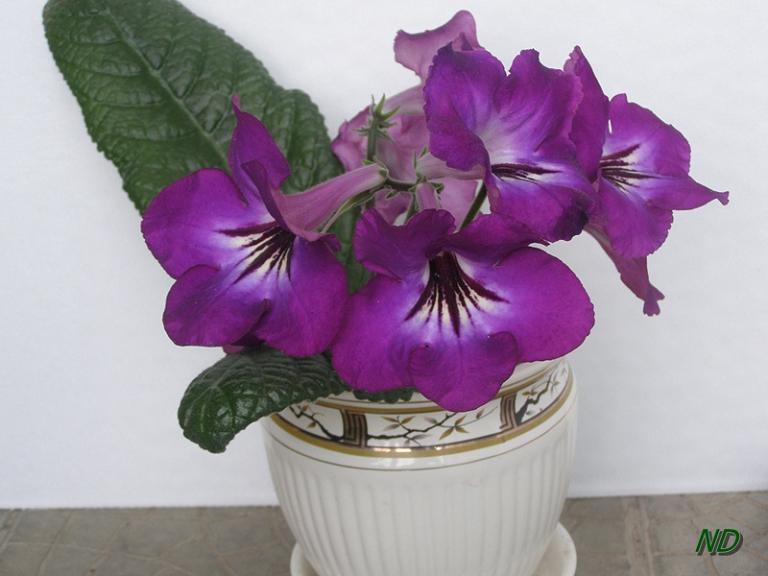 грозовой фронт1.JPG