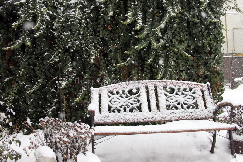 каталог 2946.jpg