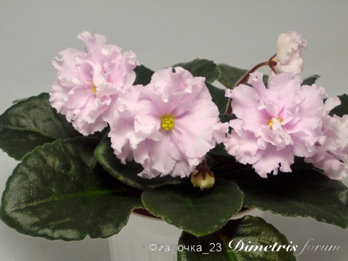 Серёжа 600-800.jpg