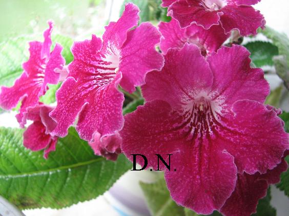 Изображение 832.jpg