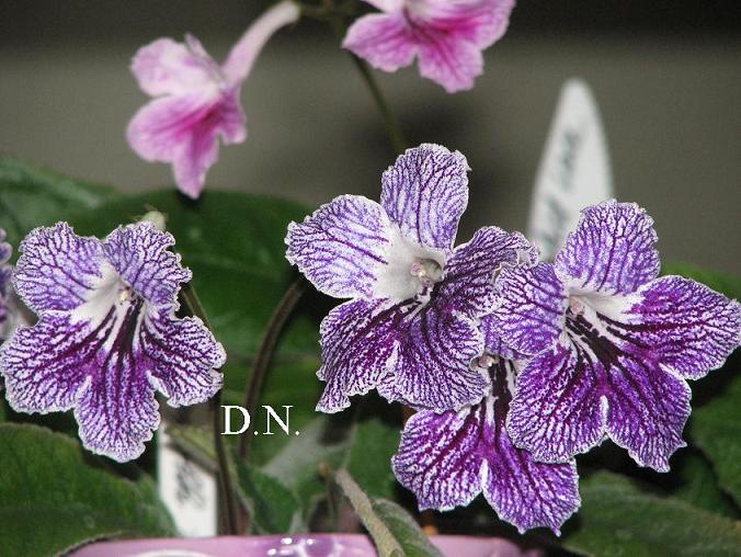 Изображение 853.jpg