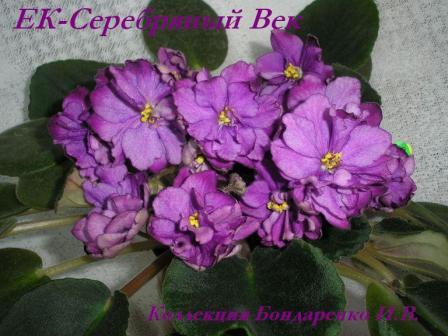 -Серебряный Век1.JPG