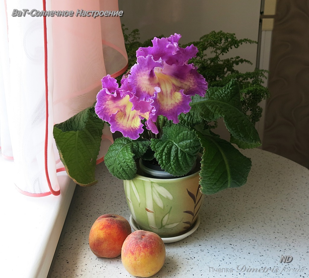 ВаТ-Солнечное Настроение5.JPG