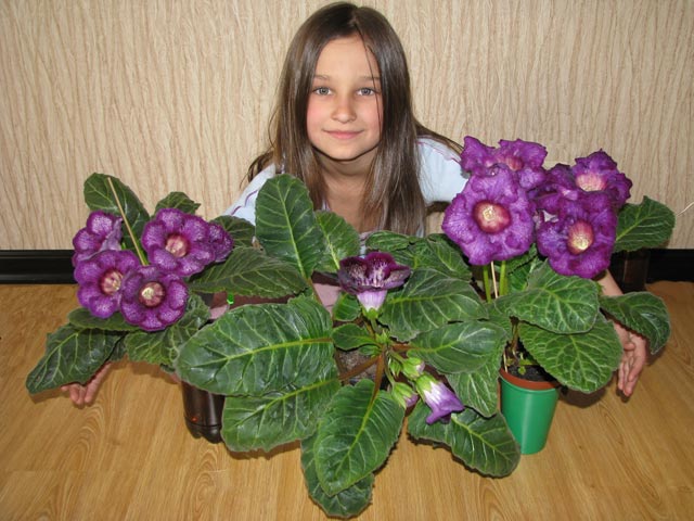-с-большими-кустами.jpg