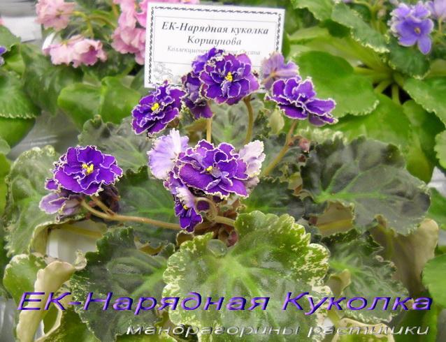 -Нарядная Куколка 1f.jpg
