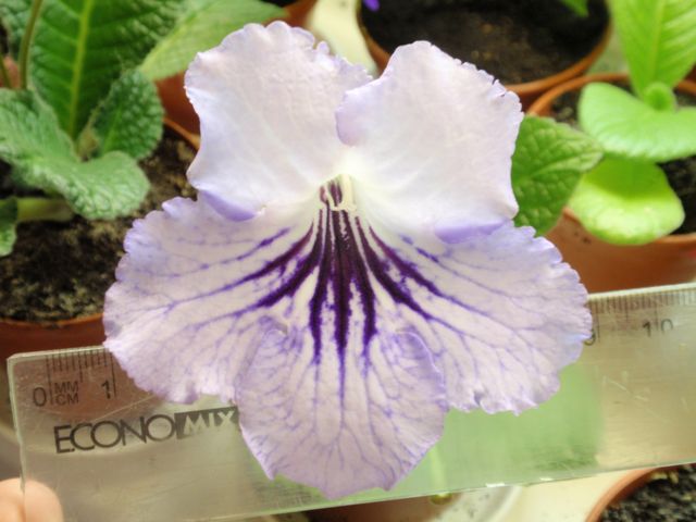 DS-Страна Озер.JPG