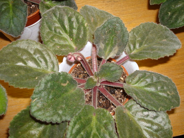 DSC01585.JPG