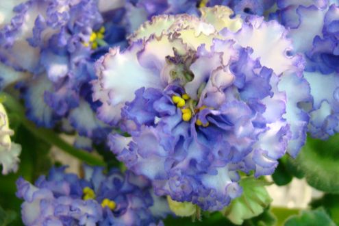 DSC06400.JPG