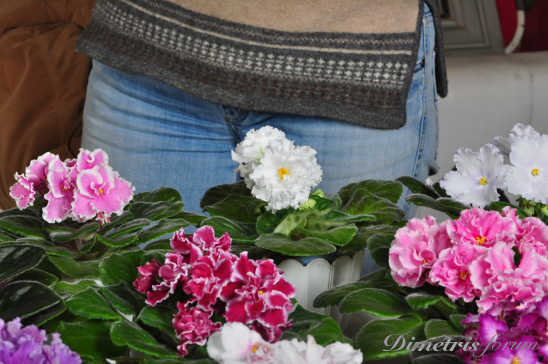 DSC_2598.jpg