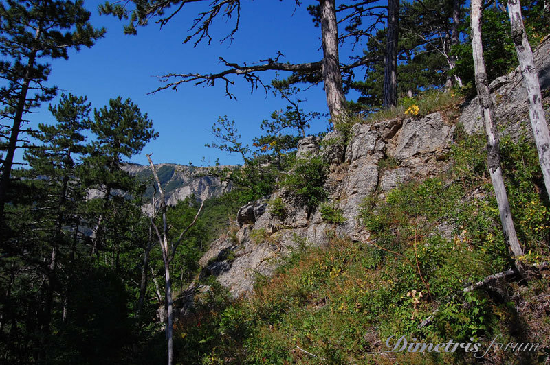 DSC_3538.jpg