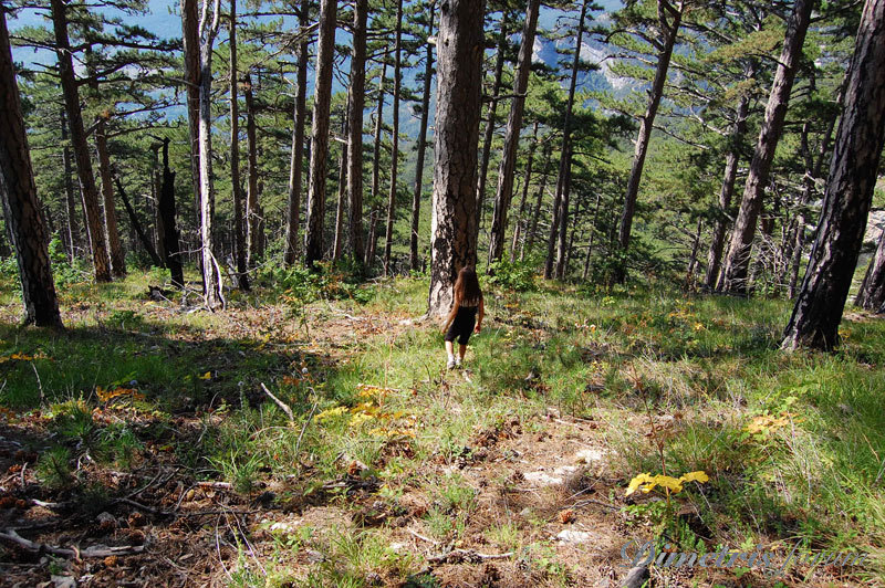 DSC_3544.jpg
