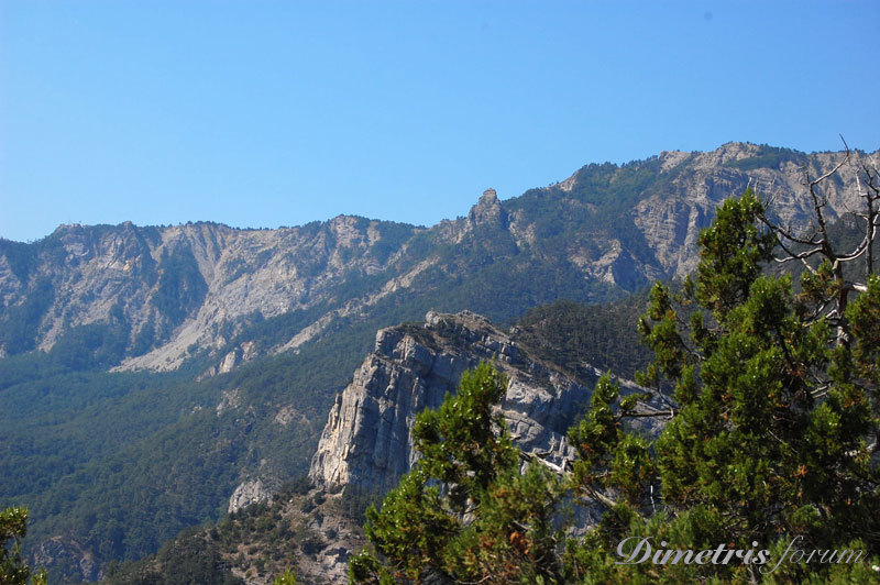 DSC_3556.jpg