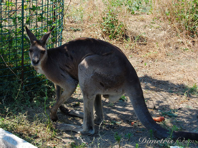 DSC_3579.jpg