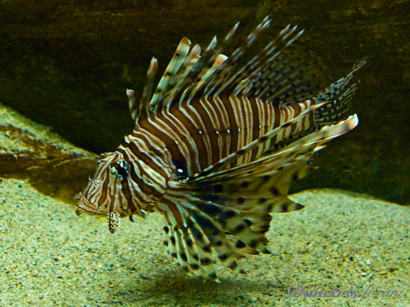 DSC_3589.jpg