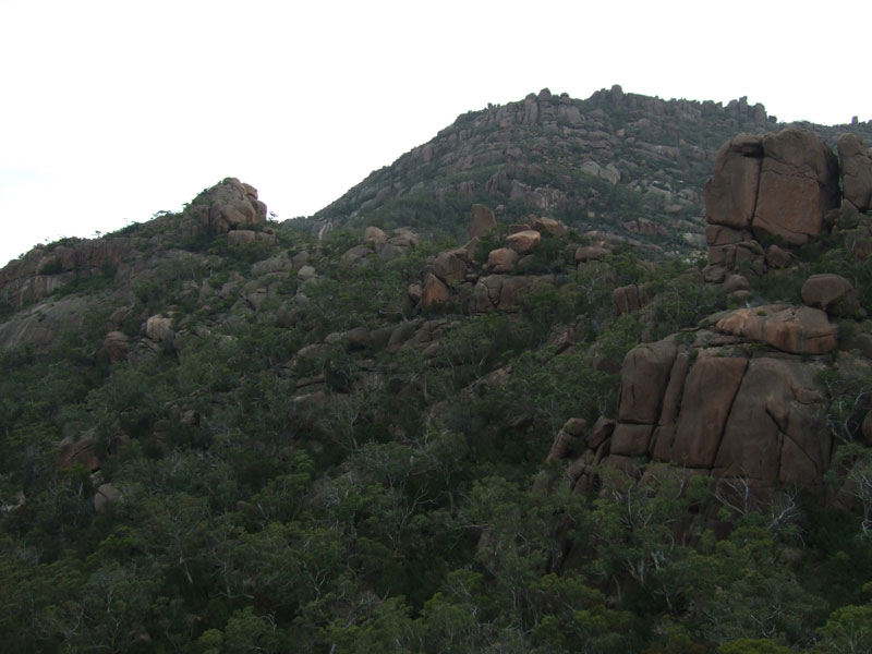DSCF0385.jpg