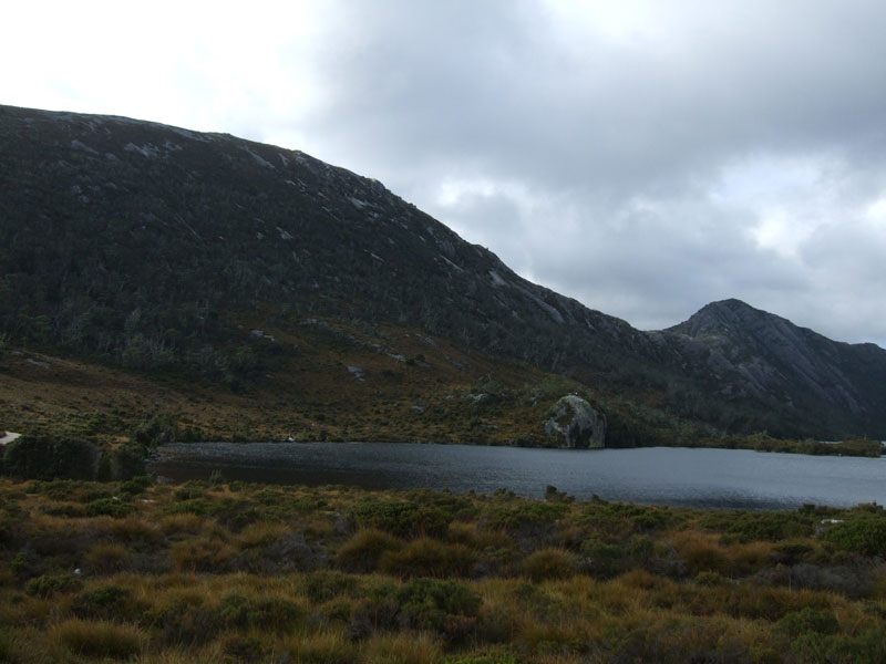 DSCF0583.jpg