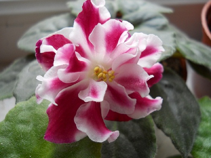 DSCN1488.JPG
