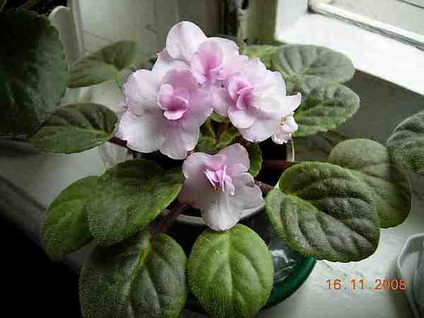 DSCN29120006.JPG