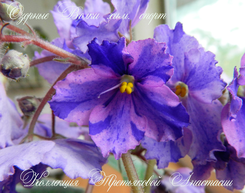 DSCN6307.jpg