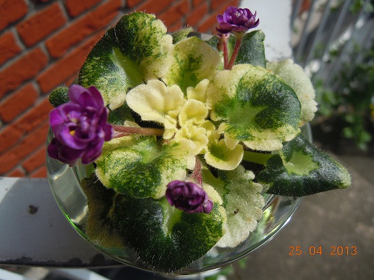 DSCN6502.JPG