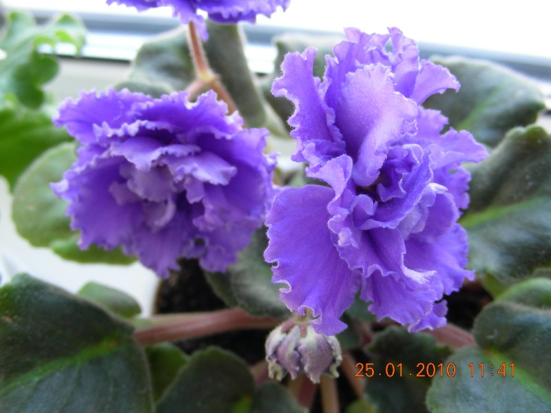 DSCN6744.JPG