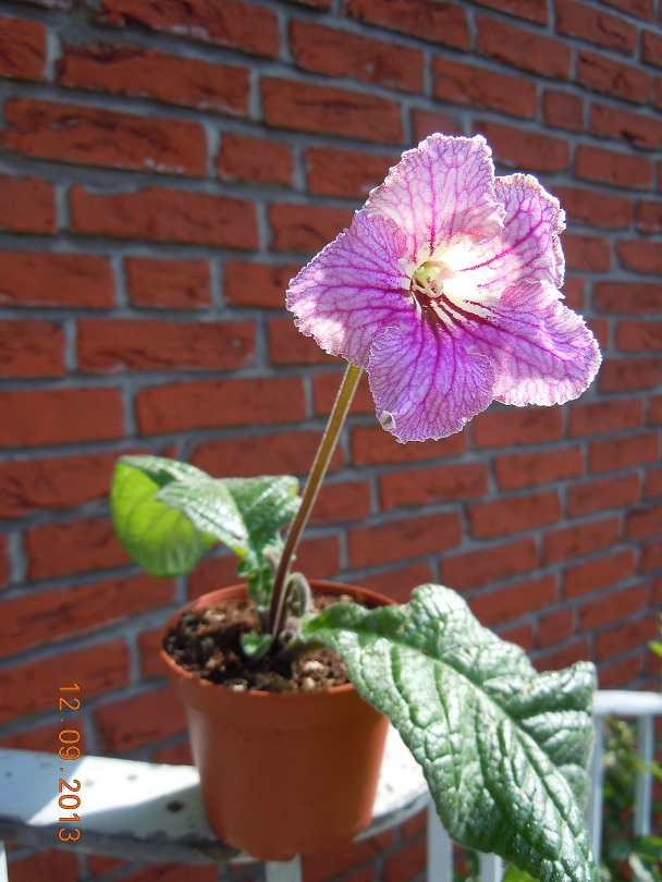 DSCN8328.JPG