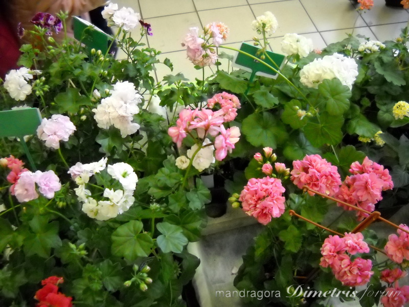 DSCN8351.jpg