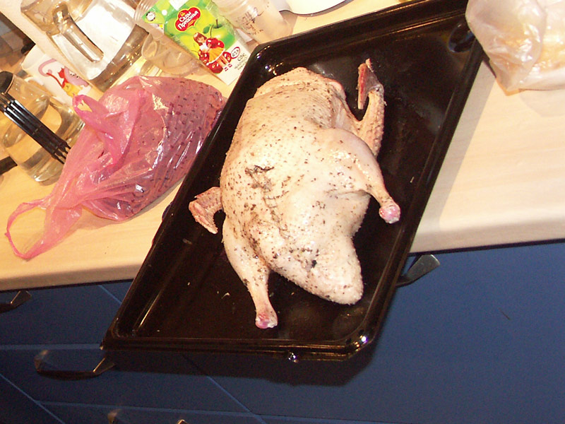 duck2.jpg