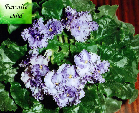 Favorite child-1.jpg