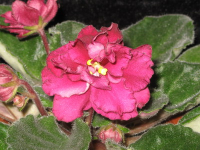IMG_0566_resize.JPG