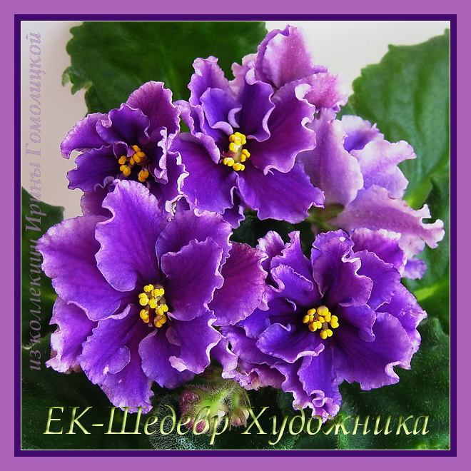 IMG_0657,600им.JPG
