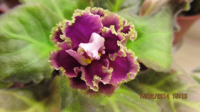 IMG_0750web.jpg