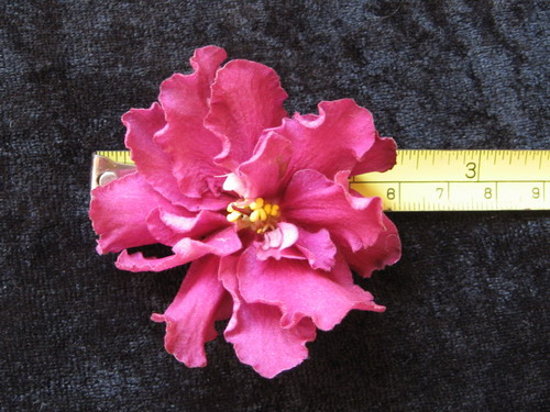IMG_0938_resize.JPG