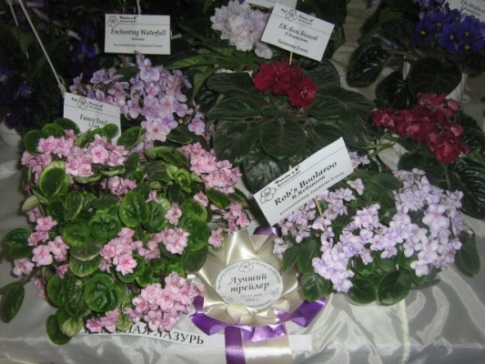 IMG_3899.jpg