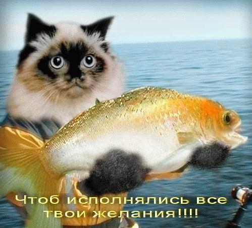 OI_471a50d3c70547758245aa3c774d4c29.jpg