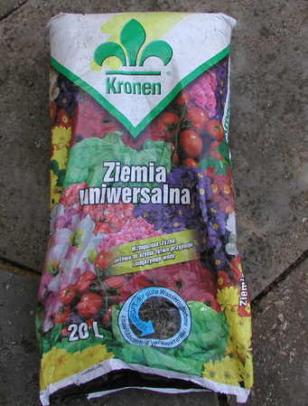P1010024.jpg