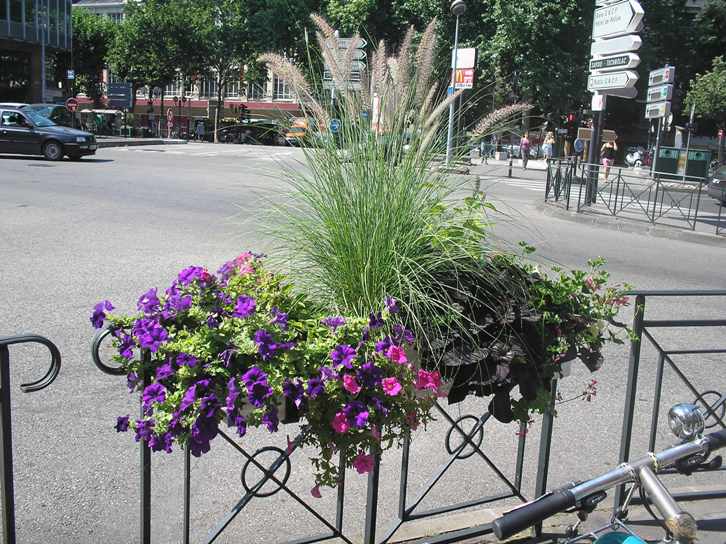 P1010177.JPG