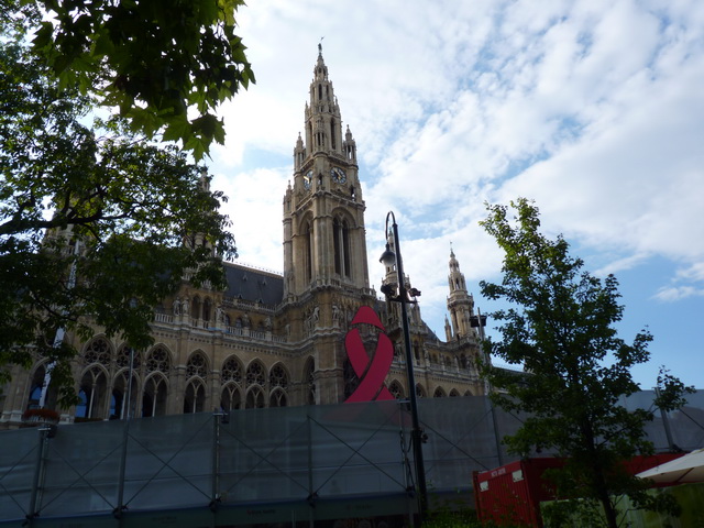 P1010333.jpg