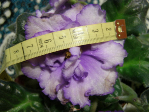 P2240002.jpg