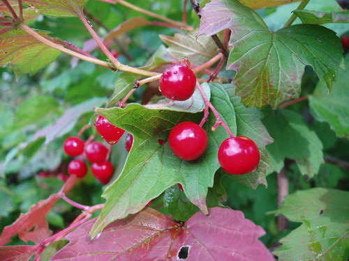 P8260161.JPG