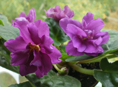 PA030025.JPG
