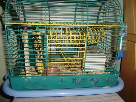 PB010161.JPG