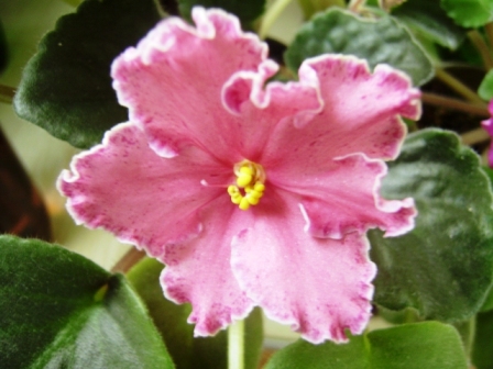 PB060193.JPG